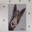 Rufus The Donkey - Wrapped Canvas Print-1428254470