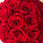 Preserved Roses Arrangement in Open
