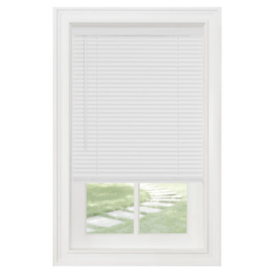 Cordless Window Blinds, Privacy & Light Filtering 1" Slats Vinyl Mini Blind