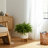 Geometric Round Ceramic Outdoor Planter on Stand for Living Room or Patio Decor - Modern Indoor Flower Pot Display for Home Decor Styling - White-130108202