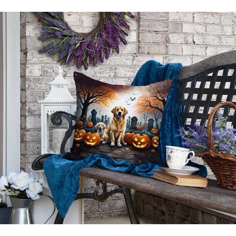  Coussin décoratif intérieur / extérieur en polyester Autre / Sans motif, 18 po x 18 po