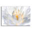 «Angle Wings» par Pamela Plummer-173551328