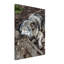Reproduction d'art mural loup au repos - faune loup, affiche, forêt, art panoramique, chalet rustique, décoration - prédateur sauvage, reproduction d'art - animal mural minimaliste - cadeau nature d'aventure-336958314
