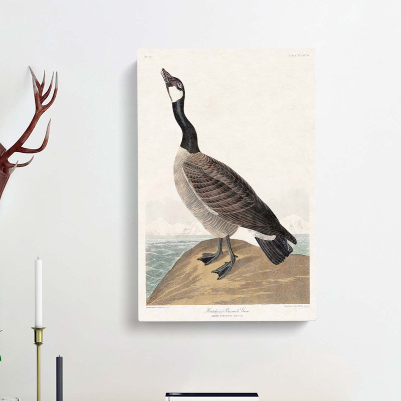 Hutchins Barnacle Goose by John Audubon - Wrapped Canvas, 60cm H x 40cm W x 3cm D