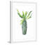 « spartacus cactus », reproduction de peinture à l’aquarelle encadrée-21629918