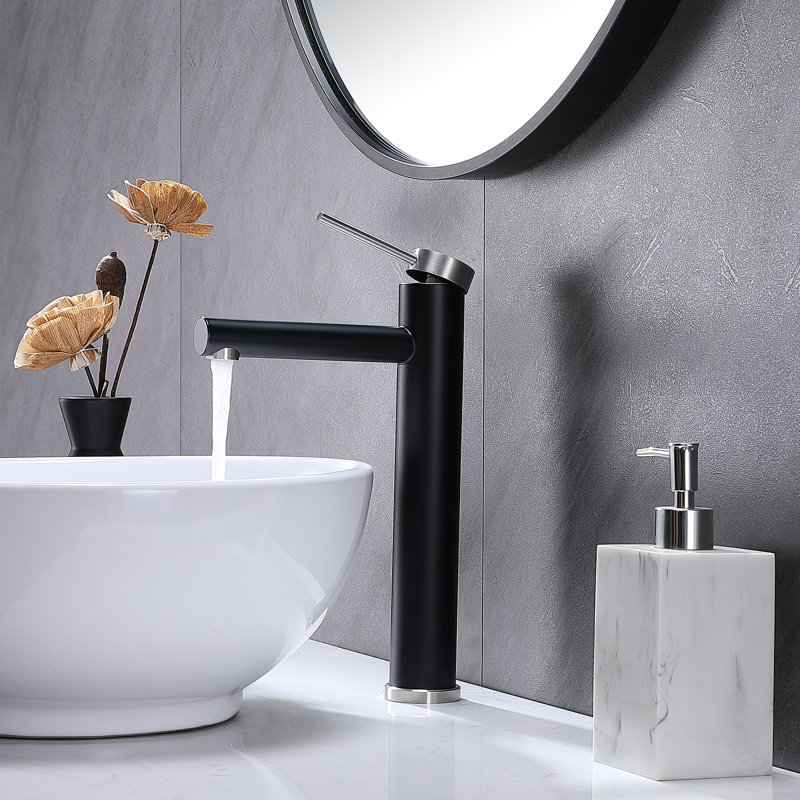 Robinet de lavabo vasque en acier inoxydable avec conduites d'alimentation, Noir / argent