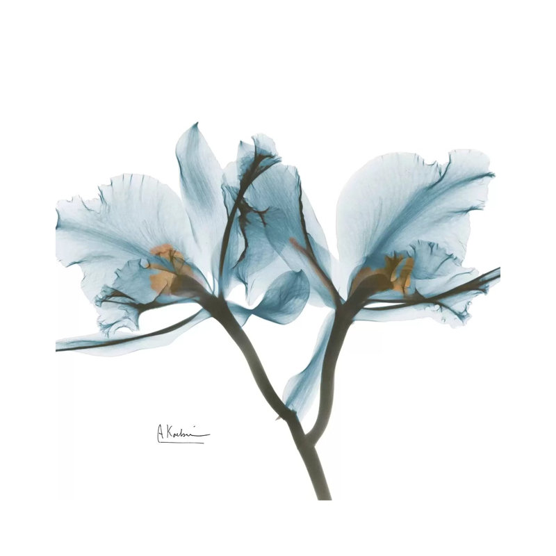 Blue Orchid by Albert Koetsier - Wrapped Canvas Painting, 30.48 cm H x 30.48 cm W