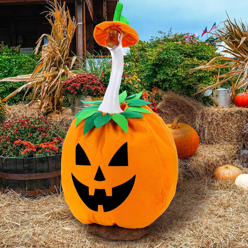 Ensemble de robes d'Halloween pour fête d'Halloween 23 po