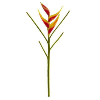 Heliconia Arrangement