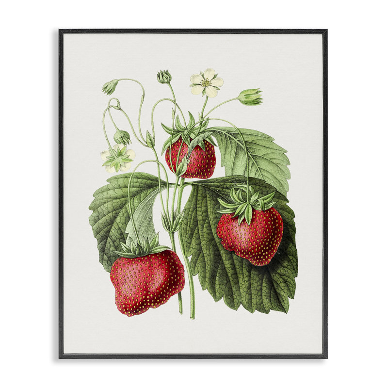 Étude de fraises rétro par lettrage et doublure, H 30 po x l 24 po, Giclée encadrée noir minuit
