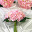Tiges d'hortensia en soie artificielle-542064843
