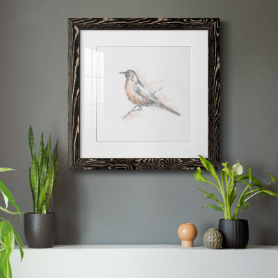 " Robin Bird Sketch II "