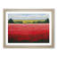 XH1022-607X An Enigmatic Poppy Field Flowers - Single Picture Frame Print-961896670-961896659
