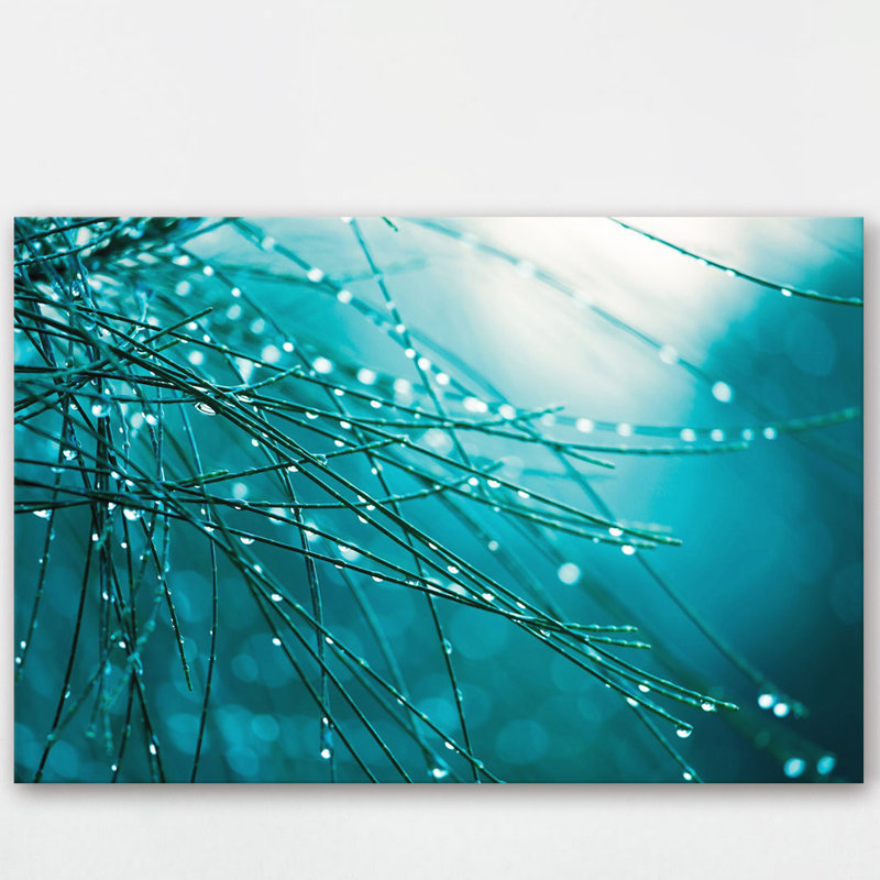 « rosée delicacy » par morgan j hartley, reproduction d’art sur toile tendue, H 20 po x l 30 po x P 1,5 po