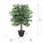 4' Artificial Ficus Bush, Plastic Container-1061365847