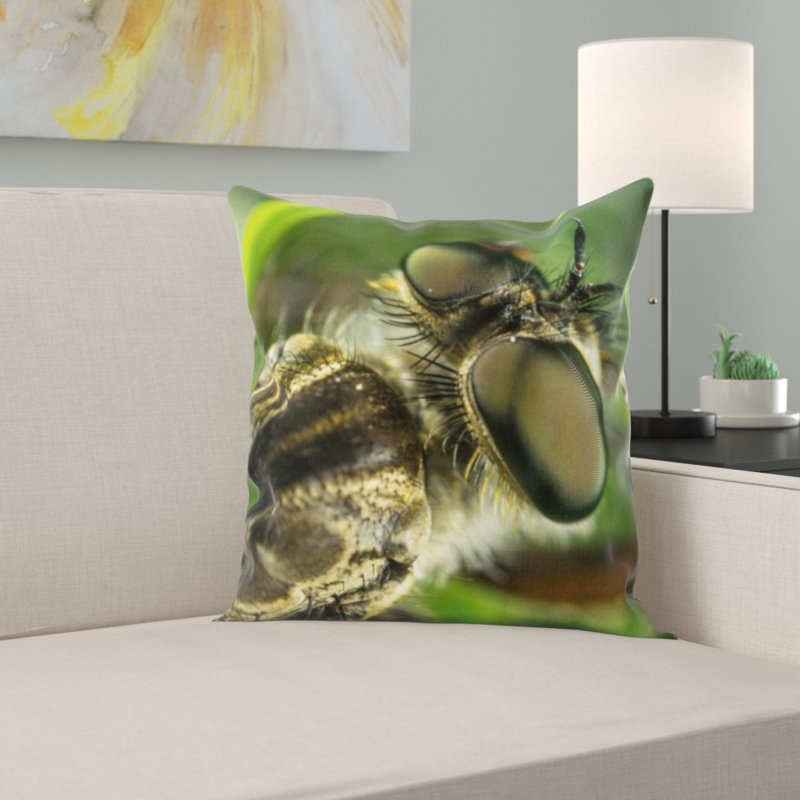 Coussin d’insectes