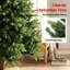180' H Christmas Tree