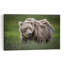 Majestic Grizzly Bear Abstract Contemporary Landscape Nature Wall Art Print-215906537