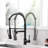 Fapully Pull Down Kitchen Faucet-61611599