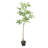 47.2"H ARTIFICIAL PACHIRA MACROCARPA