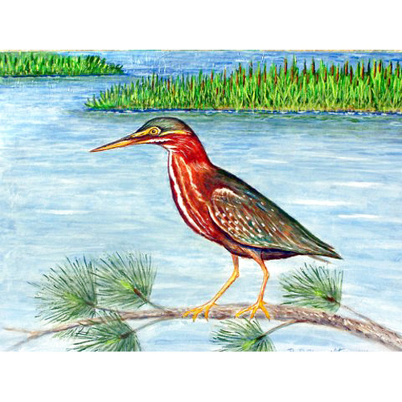 Green Heron Polyester Rectangle Placemats Set of 4