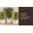 Planters Box - 14.75in Lattice Flower Box Plant Pot - Outdoor Patio Planters and Flower Boxes for Front Porch or Garden Decor by Pure Garden