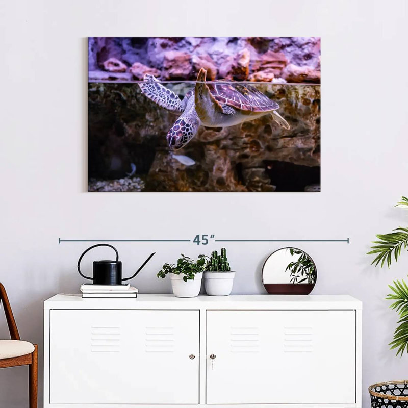 Brampt Turtle Aquarium, 24" H x 36" W