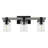 Borth Iron/Seeded Glass Rustic Farmhouse LED Vanity Light-19216085-23242565