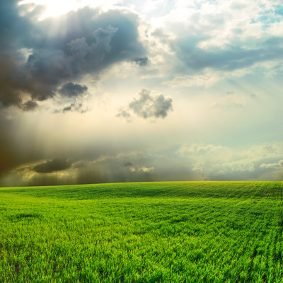 Dramatic Sky by Mycola - Wrapped Canvas Print