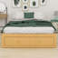Platform Bed Frame with 4 Storage Drawers and Hydraulic Footboard Storage, No Headboard Style-250005436