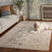 Madison 497 Performance Oriental Rug-360915293
