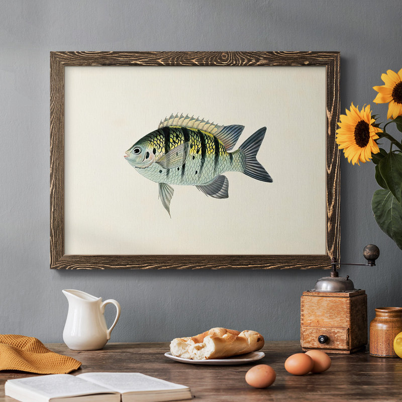 "Tropical Fish Collection VI", reproduction d'art sur toile, Noyer, H 14 po x l 20 po