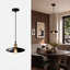 Luminaire suspendu de style industriel noir mat