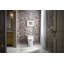 Purewashe860 Elongated Bidet Toilet Seat With Remote Control