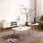 Egg Shape Coffee Table