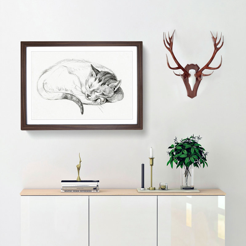 Sleeping Cat by Jean Bernard - Picture Frame Drawing Print, Walnut Framed, 48cm H x 65cm W x 2cm D