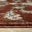 Edner Traditional Floral Red/ Multi Area Rug-1527847826