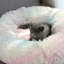 Lit rond pour chat Vinton