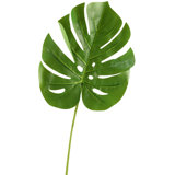 34'' Faux Split Leaf Philo Stem
