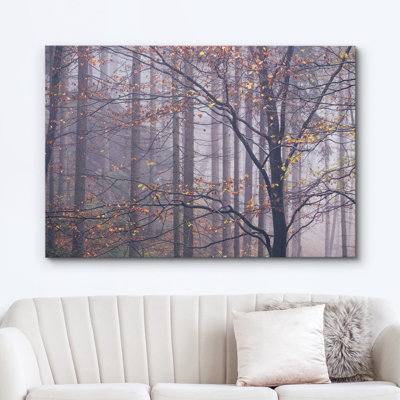 Automne, automne, brume, automne, arbres de la forêt avec feuilles jaunes