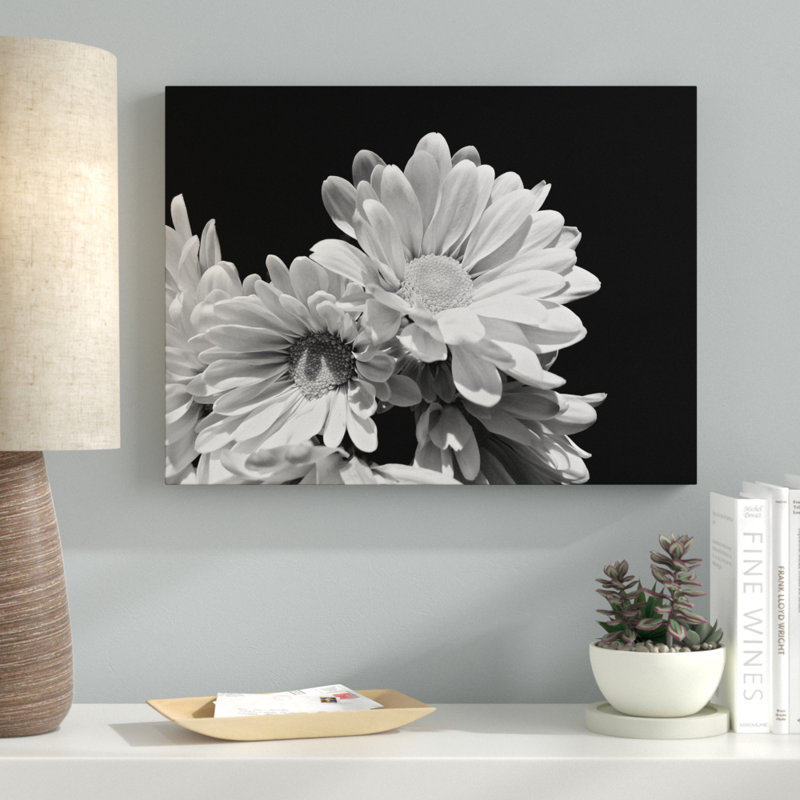 « cascade éblouissante bw ii », reproduction de photo sur toile tendue