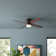 Poppe 52'' Ceiling Fan with LED Lights