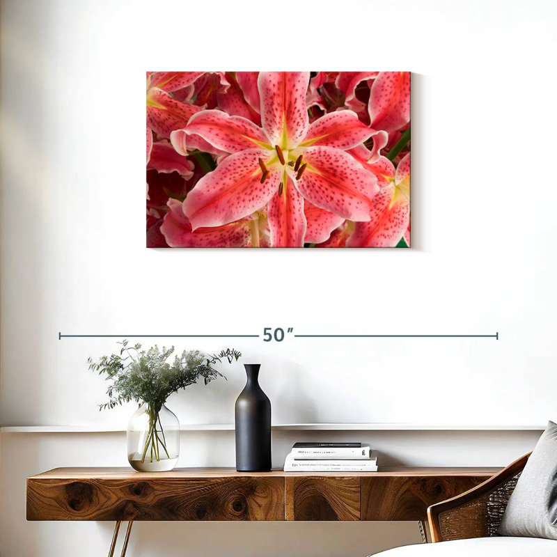 Fleurs de lys Harnek Stargazer, H 20 po x l 30 po
