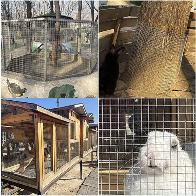 Quincaillerie en tissu 39,4 po x 82 pi, clôture en fil de fer soudé pour plante de jardin, rouleau de clôture en fil de fer soudé, rouleau de clôture en fil de poulet pour jardin