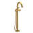 Brushed Gold is out of stock selected