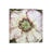 Hellebore by Jo Beer - Wrapped Canvas Print-596317356