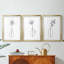 Spring Trio I - Impression personnalisée de qualité supérieure avec cadre mat - 3 pièces-1292935915-1292935913