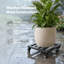 Plant Stand