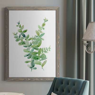 Eucalyptus III " Eucalyptus III "