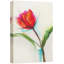 «Watercolor Smudge Effect Red Tulip Floral Botanical Illustration Modern Art Rustic» sur toile-99542748